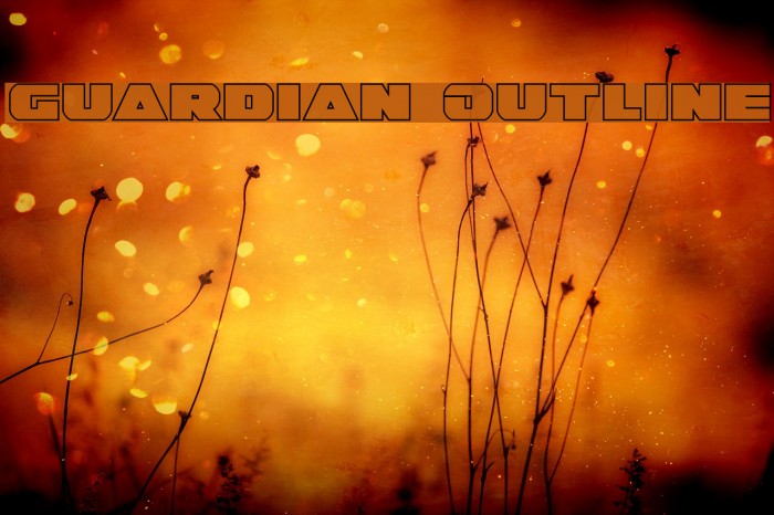 Guardian Outline Font examples