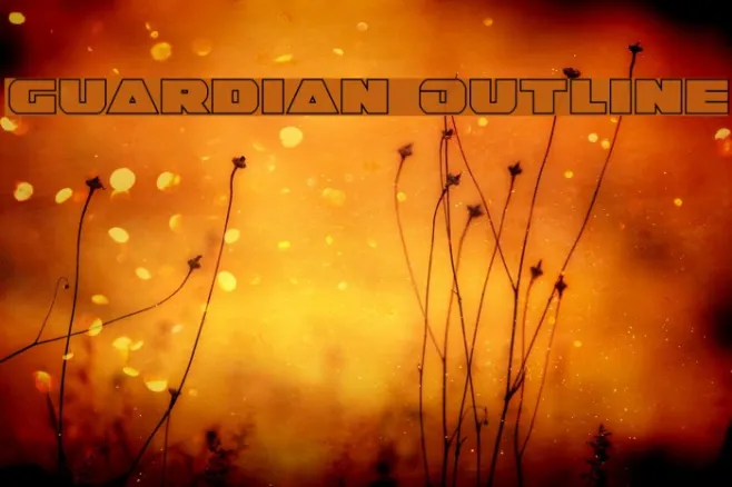 Guardian Outline Example 1