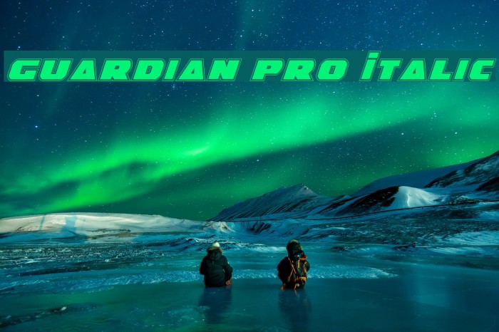 Guardian Pro Italic Font examples
