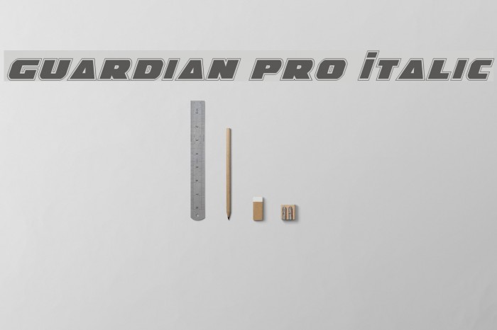 Guardian Pro Italic Font examples