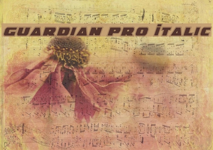 Guardian Pro Italic Font examples