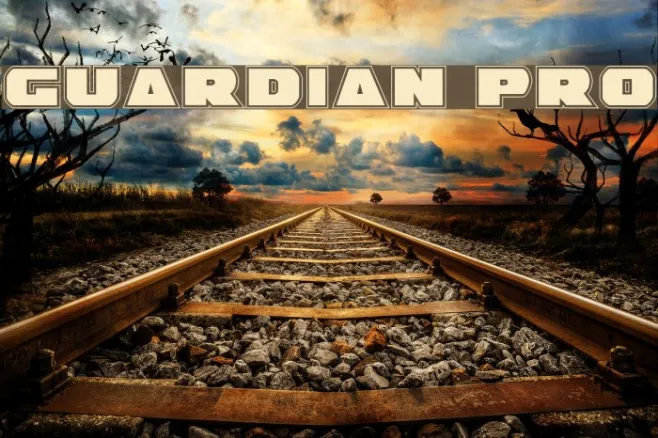 Guardian Pro Example 1