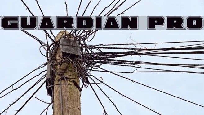 Guardian Pro Example 2
