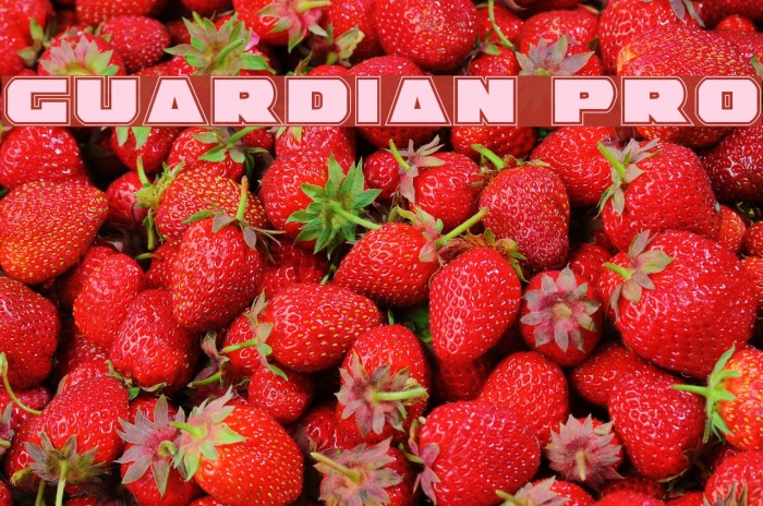 Guardian Pro Font examples