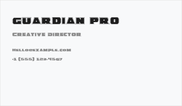 Guardian Pro Business Card