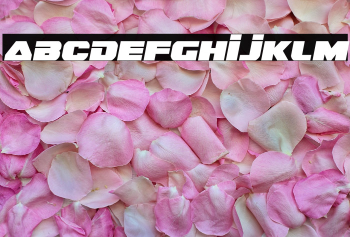 Guardian Semi-Italic Example 1