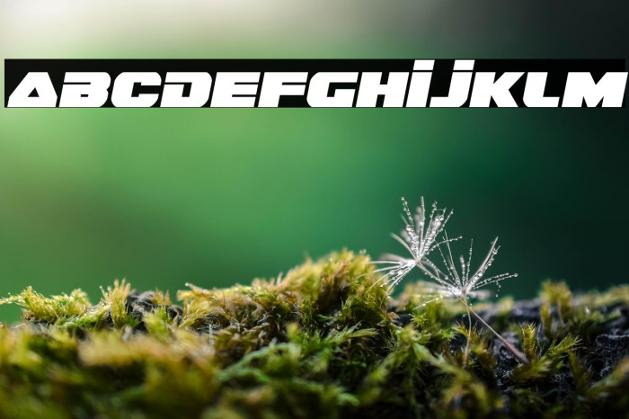 Guardian Semi-Italic Example 2