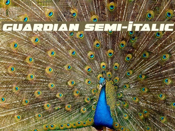 Guardian Semi-Italic Example 2