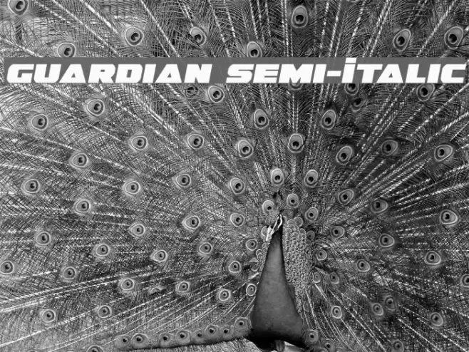 Guardian Semi-Italic Font examples