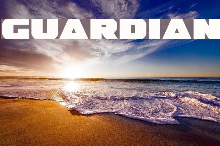 Guardian Font  FFonts.net