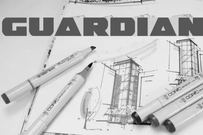 Guardian Font examples