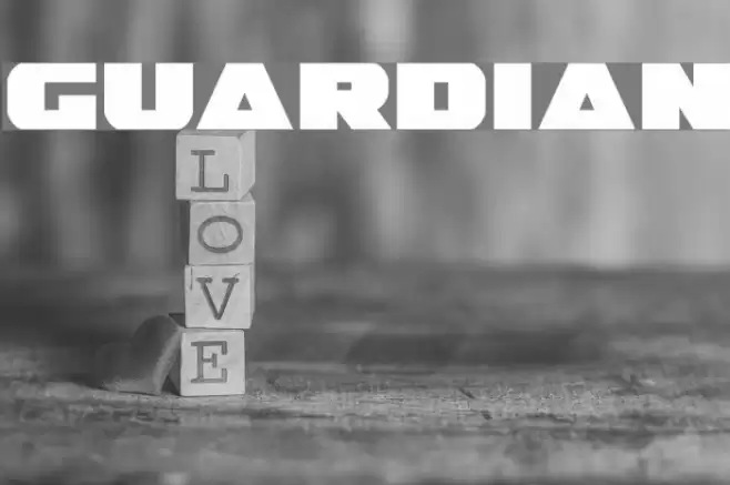 Guardian Font examples