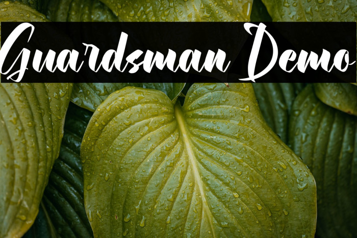 Guardsman Demo Example 1