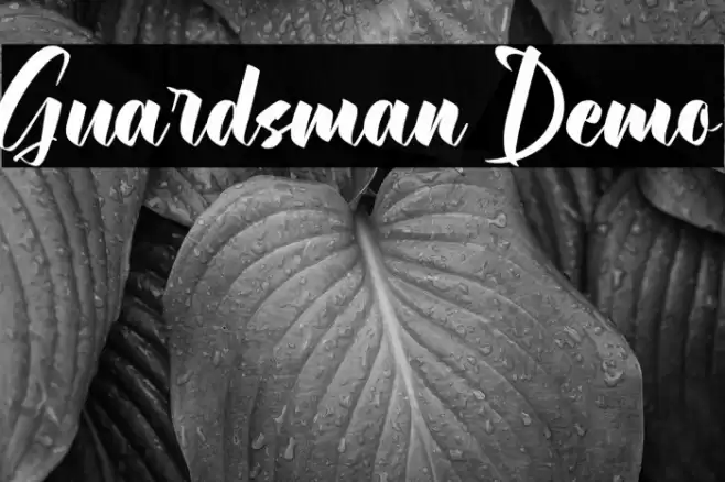 Guardsman Demo Font examples