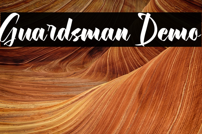 Guardsman Demo Example 2