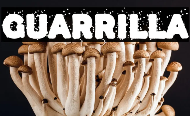 Guarrilla Example 3