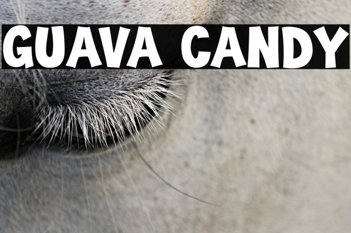 Guava Candy Example 3