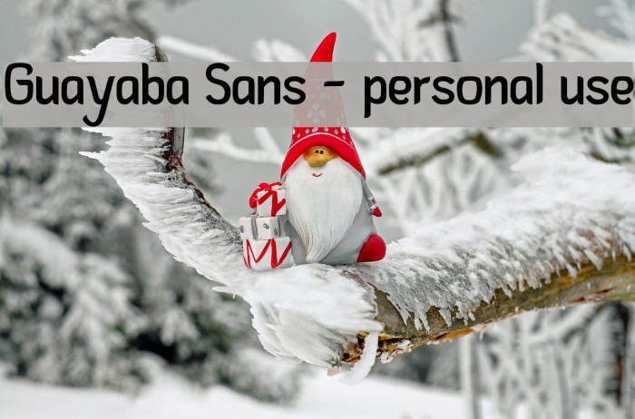 Guayaba Sans - personal use Font examples