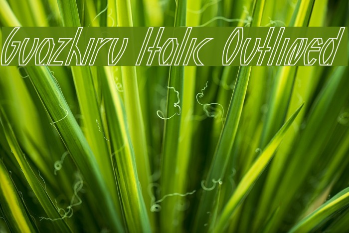 Guazhiru Italic Outlined Example 1