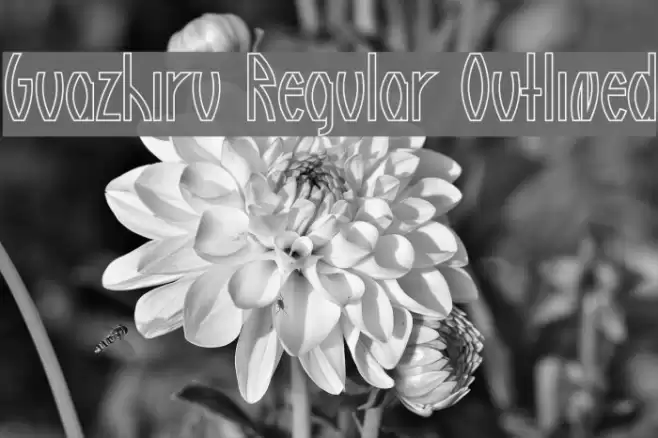 Guazhiru Regular Outlined Fuentes examples