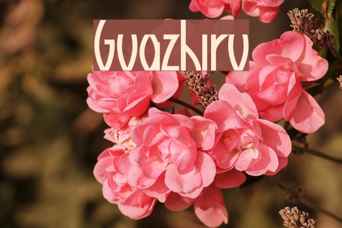 Guazhiru Font examples