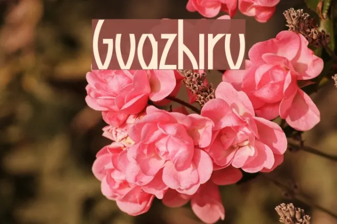 Guazhiru Example 2