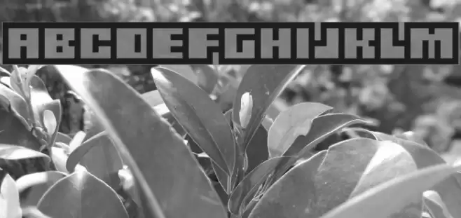 Gubblebum Blocky Font examples