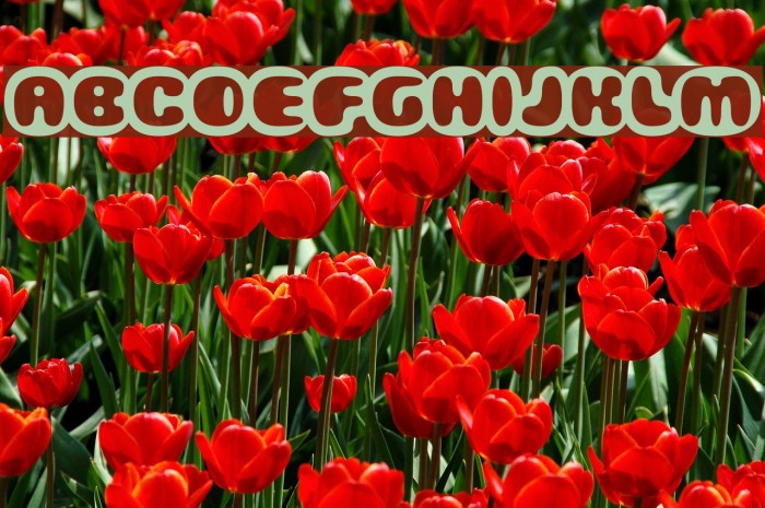 Gubblebum Font examples