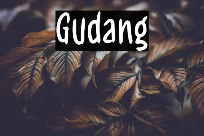 Gudang Example 2