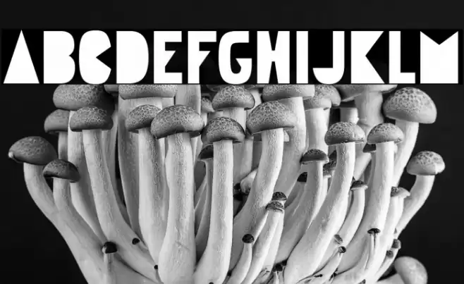 Gudariak Font examples