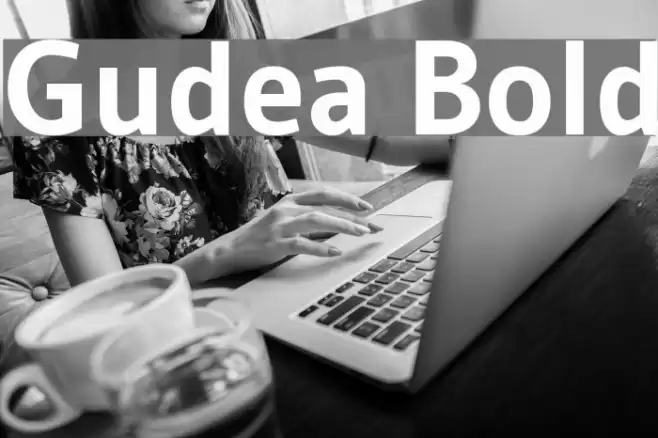 Gudea Bold Font examples