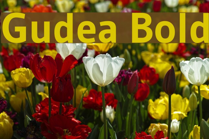 Gudea Bold Font examples
