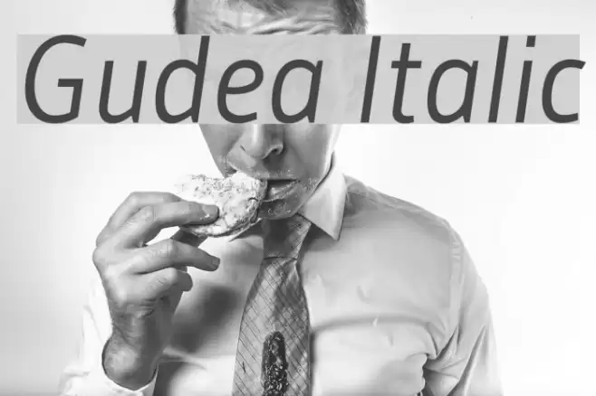 Gudea Italic examples