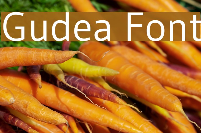 Gudea Font examples
