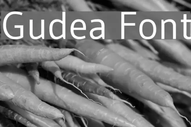 Gudea Fonte examples