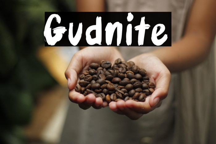 Gudnite Example 1
