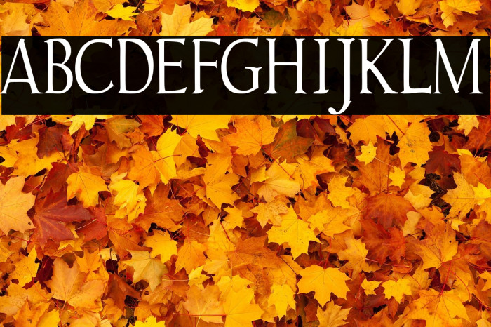 Gudvayne Regular Example 2