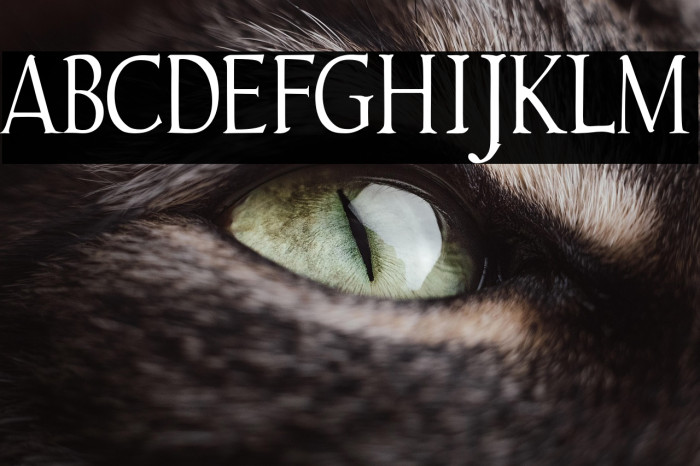 Gudvayne Regular Example 3