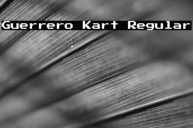 Guerrero Kart Regular Font examples