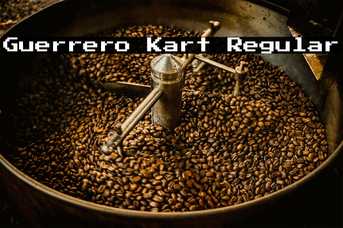 Guerrero Kart Regular Example 3