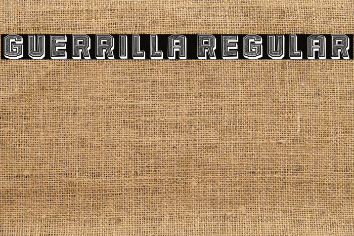 Guerrilla Regular Example 3