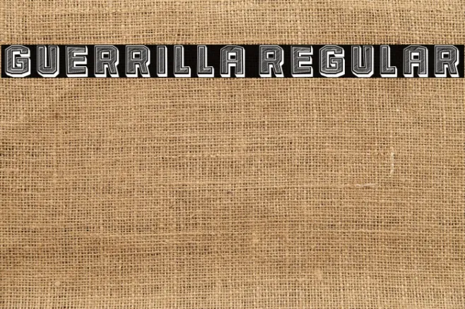Guerrilla Regular Example 3