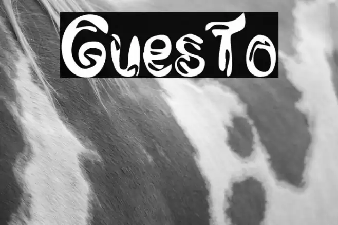 GuesTo Font examples