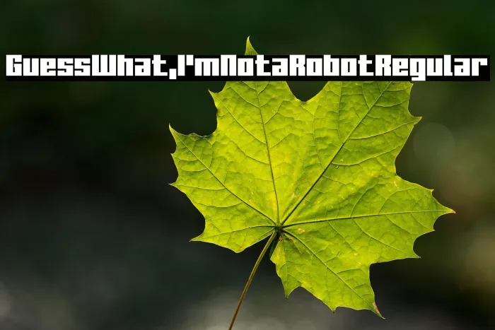 Guess What, I'm Not a Robot Regular Example 3