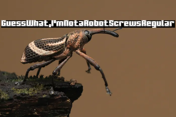 Guess What, I'm Not a Robot Screws Regular Example 2