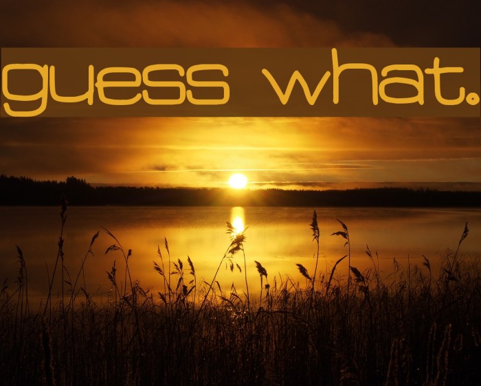Guess What. Font examples