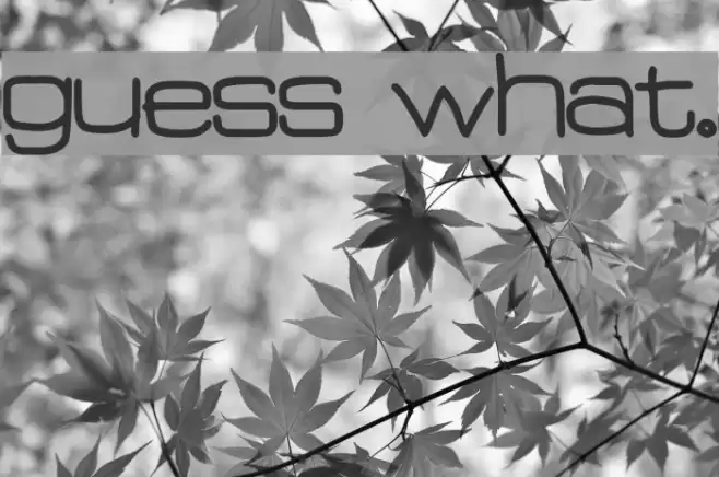 Guess What. Font examples