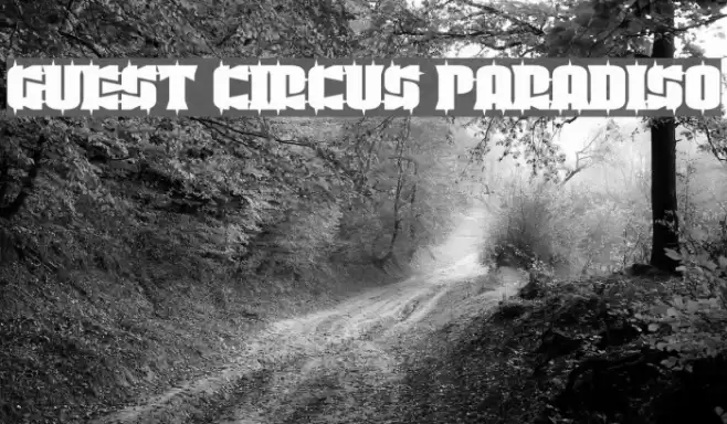 Guest Circus Paradiso Font examples