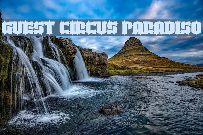 Guest Circus Paradiso Example 3