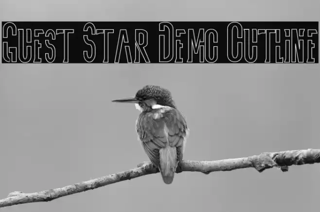 Guest Star Demo Outline Font examples